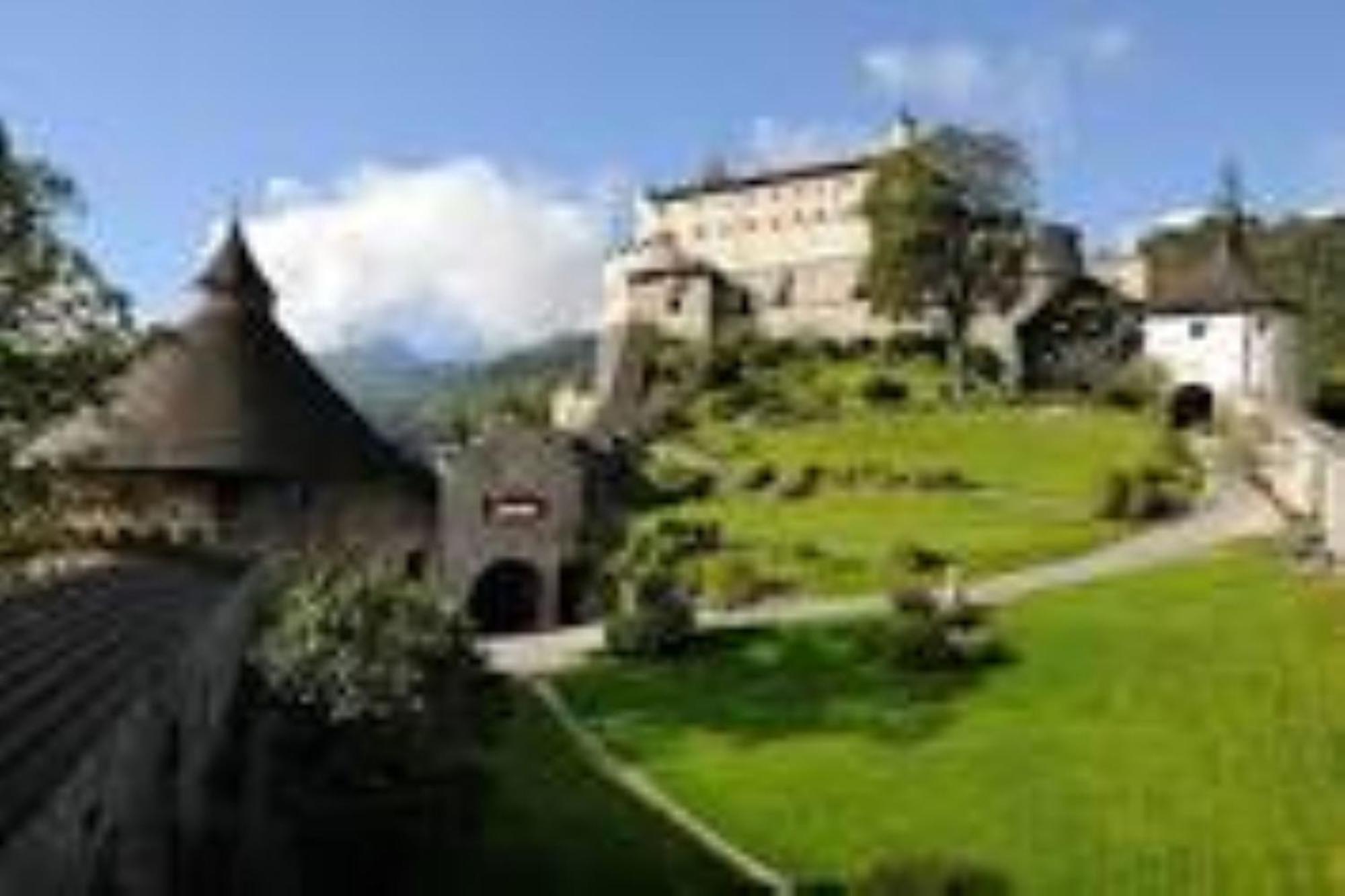 Ferienhaus Lechner Fuer Max 10 Personen - Wald Und Naturgarten Abtenau Bagian luar foto